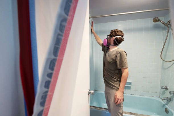 Dehumidification Services in Newark, DE