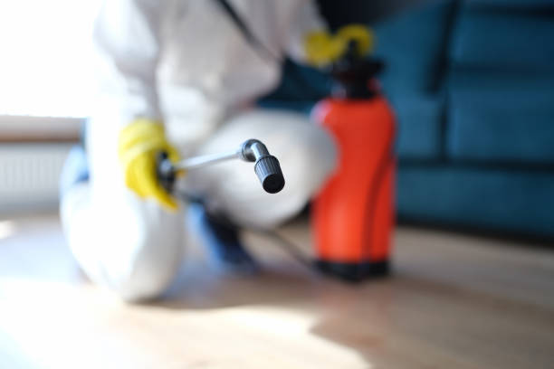 Best Indoor Air Quality Assessment  in Newark, DE